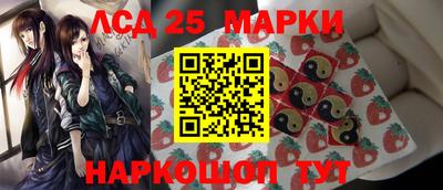 индика Обнинск