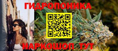 индика Обнинск