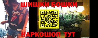 индика Обнинск