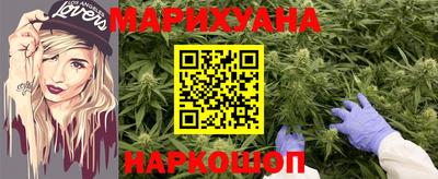 индика Обнинск