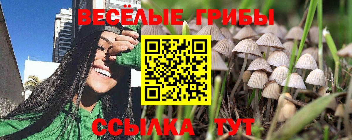 купить наркоту  Вход с VPN  Сорочинск  Псилоцибиновые грибы Cubensis 